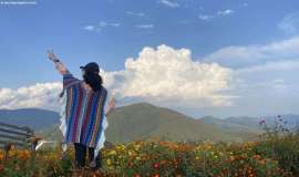 多彩人生 | 抗癌重生之路，她亲手写下战胜癌细胞的4个秘诀！