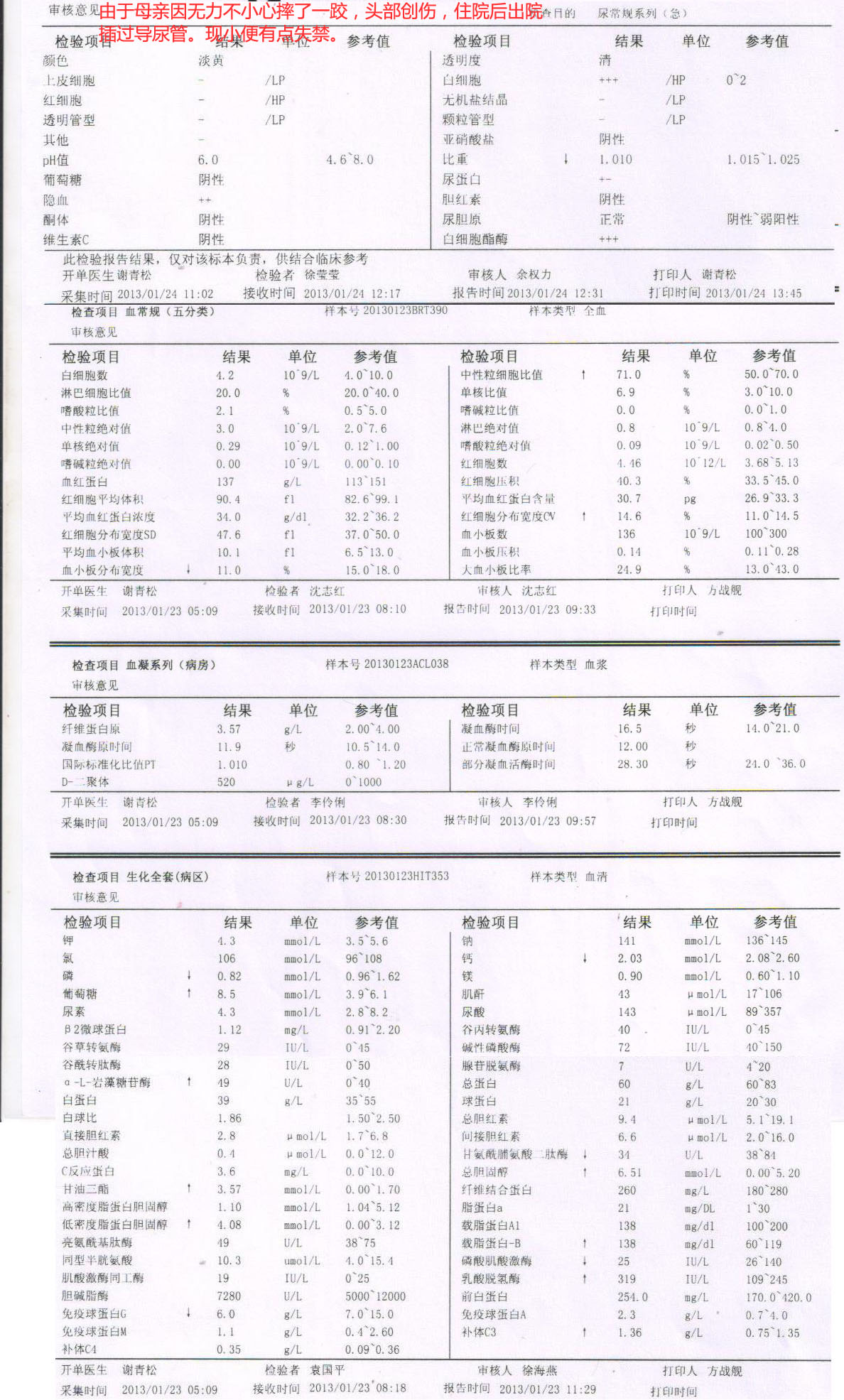 血液报告.jpg