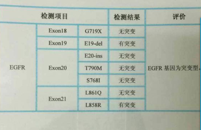 EGFR检测报告