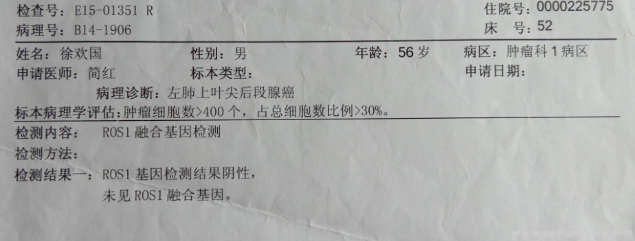 医院基因报告