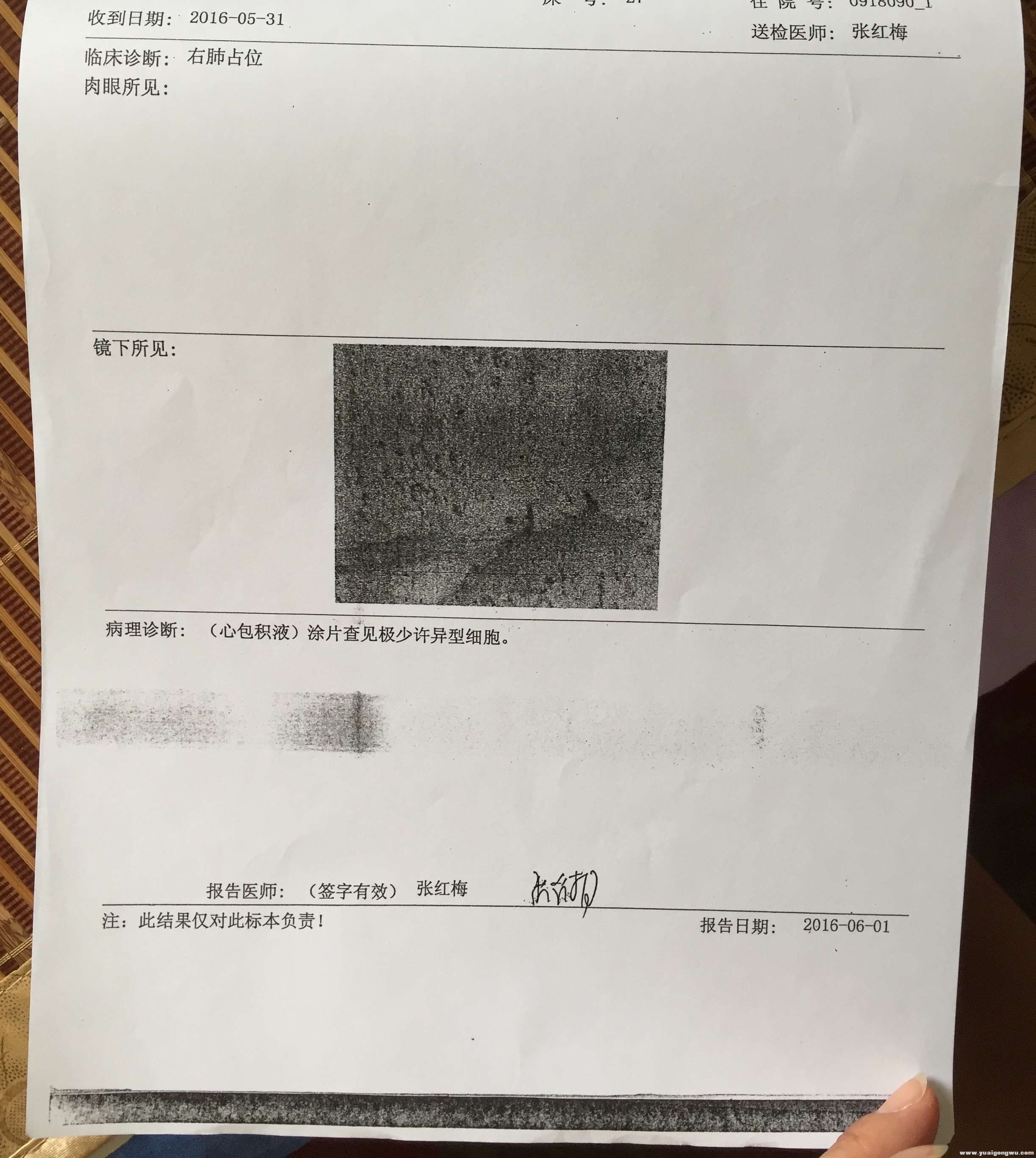 QQ图片20170307105737.jpg