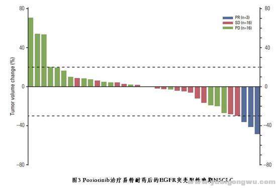 波齐替尼Po4.jpg