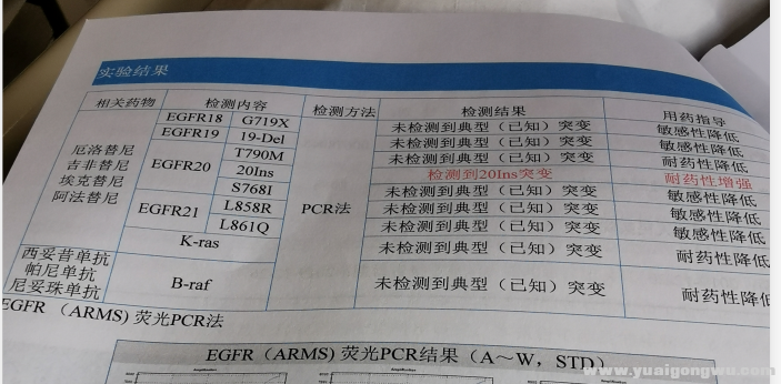 基因检测20突变