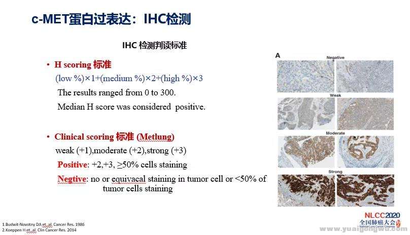 微信图片_20200620203456.jpg